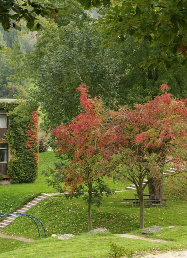 Waldblick Appartement Ober-Hambach 外观 照片