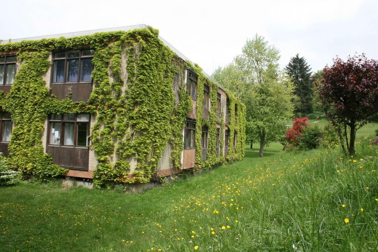 Waldblick Appartement Ober-Hambach 外观 照片